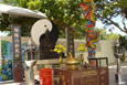 Chinese Gardens In Pattaya. A Great family day out